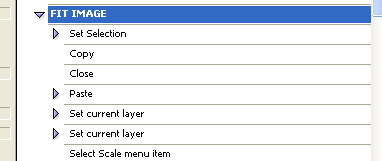 actionmenu.gif