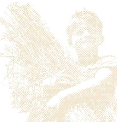 bg.gif