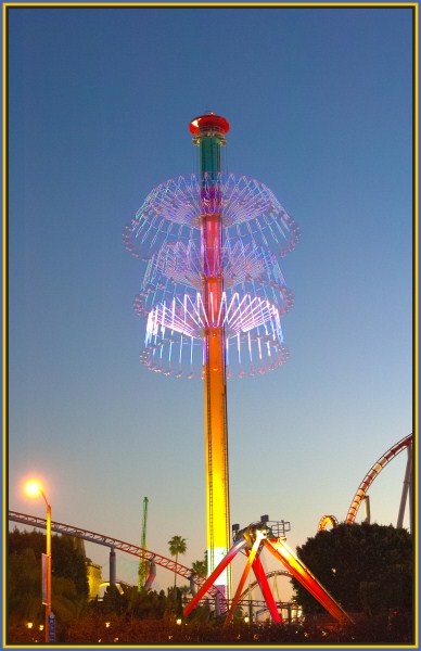 Big Flower_HDR2.jpg