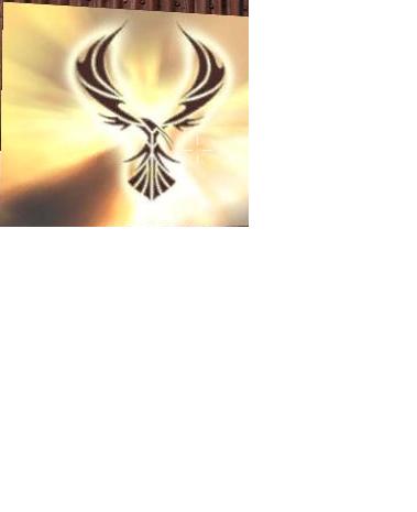 bird2.JPG