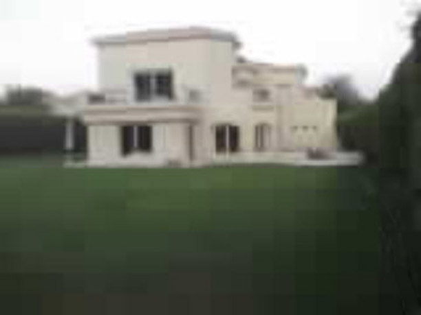 blurred1..jpg