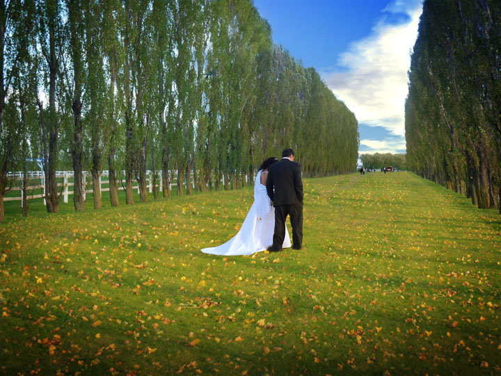 couple4.jpg