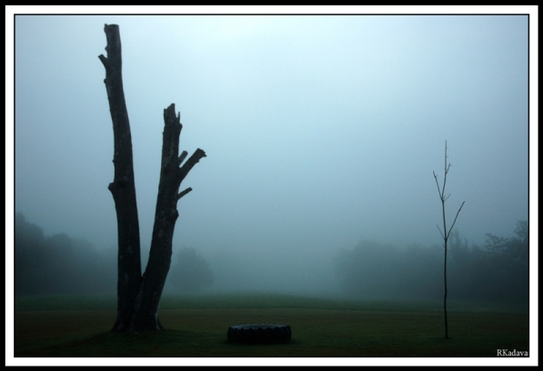 DSC_4158-border_s.jpg