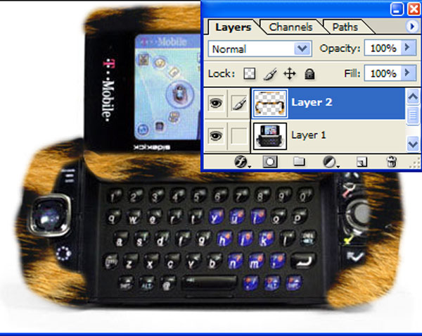furlayeroverimage-lasa.jpg