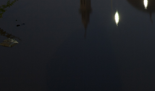 IMG_7840 clip3.jpg