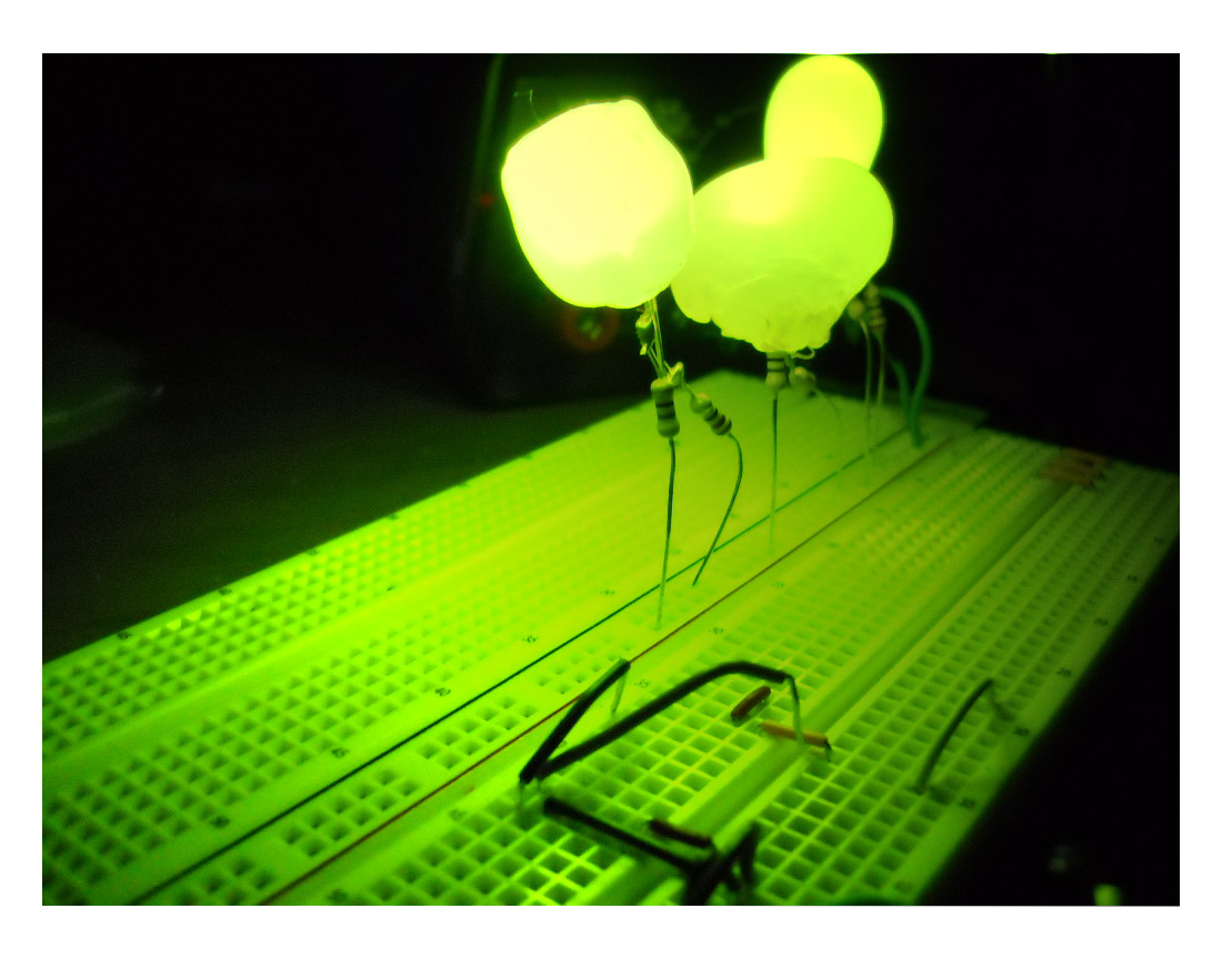 leds straight up copy.jpg