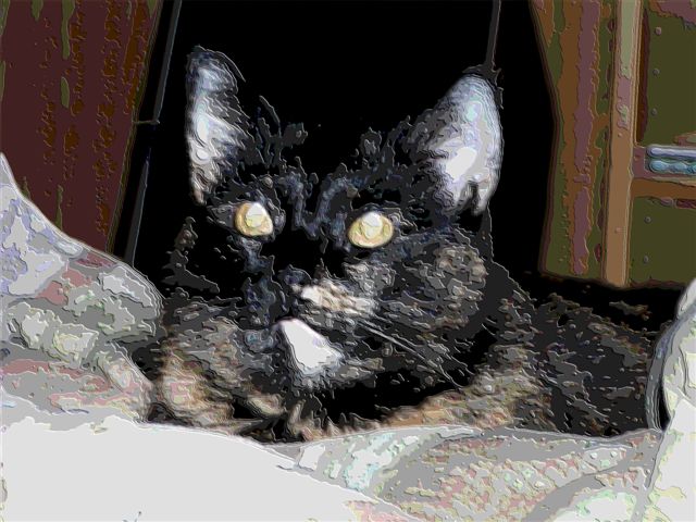 P1010021b.jpg