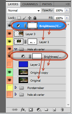photoshop layer.png