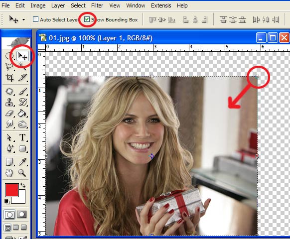 resize.jpg