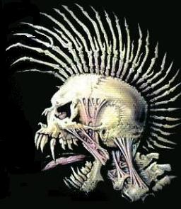 skullLOD.jpg