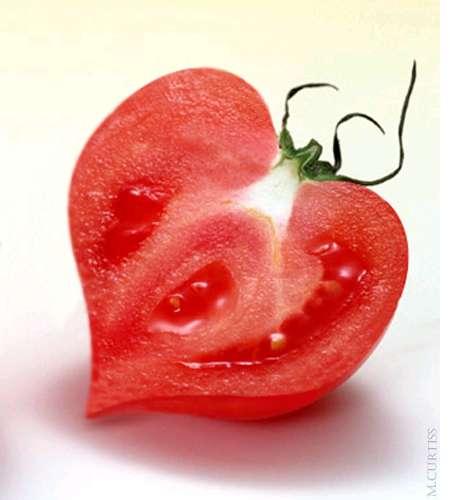 tomato2.psd.jpg