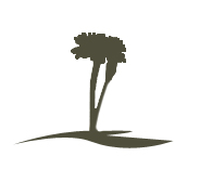 weed-in-concret.jpg