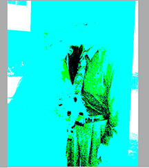 WHAT 'LIQUIFY' TOOL DOES TO MY IMAGE small for forum.jpg