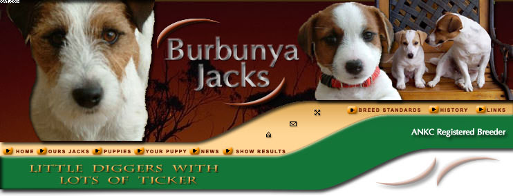 burbunya_jacks_header.jpg