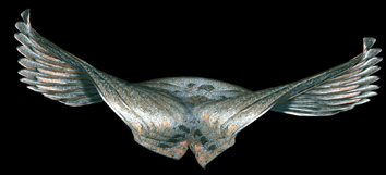 Copper WING4.jpg