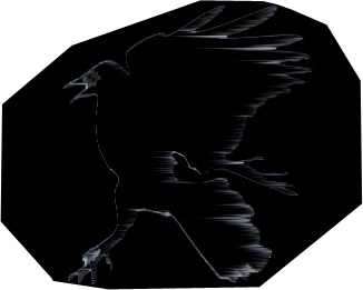 crow1.png