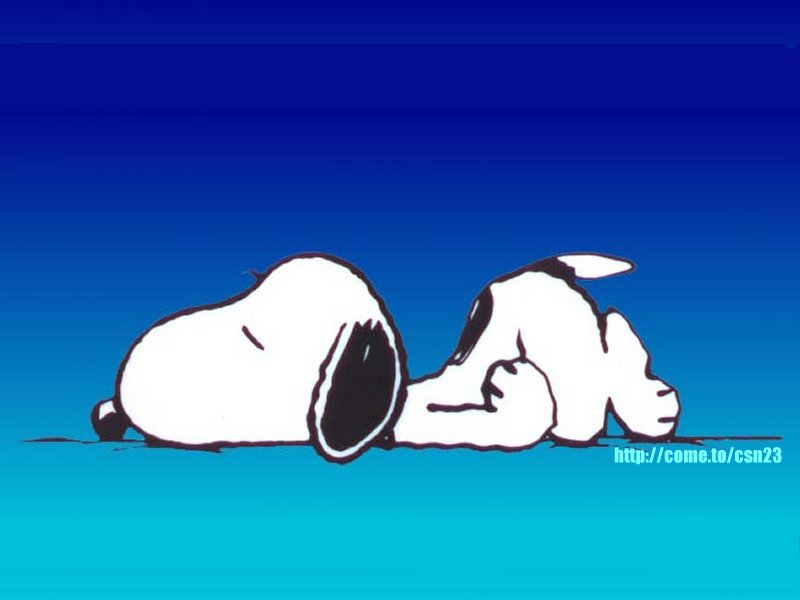 snoopy09.jpg