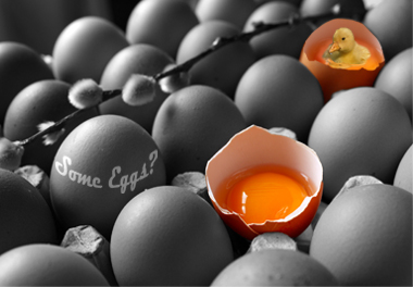 Some eggs.jpg