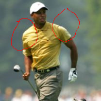 Tiger Woods.jpg