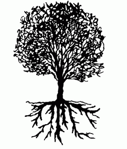 Tree-with-roots-256x300.png