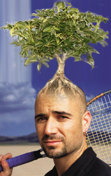 Treehead.jpg